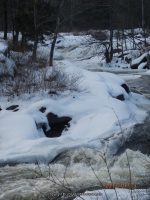 SPRUCE CREEK UPPER FALLS HERKIMER COUNTY CENTRAL NEW YORK 1-13-2013_00013.JPG