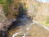 Big Brook falls on 274D 10-11-2015_00008.JPG