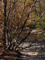 Big Brook falls on 274E 10-11-2015_00003.JPG
