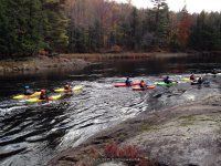 Knifes Edge Rapids Moose 10-17-2015_00003.JPG