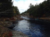 Knifes Edge Rapids Moose 10-17-2015_00004.JPG