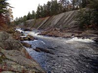 Knifes Edge Rapids Moose 10-17-2015_00005.JPG