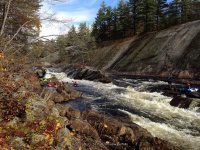 Knifes Edge Rapids Moose 10-17-2015_00008.JPG