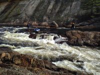 Knifes Edge Rapids Moose 10-17-2015_00009.JPG