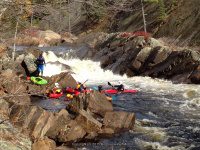 Knifes Edge Rapids Moose 10-17-2015_00010.JPG