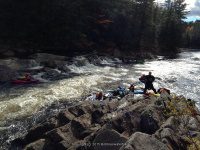 Knifes Edge Rapids Moose 10-17-2015_00011.JPG