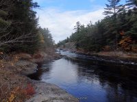 Knifes Edge Rapids Moose 10-17-2015_00012.JPG