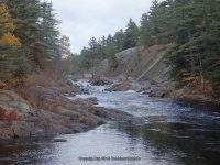 Knifes Edge Rapids Moose 10-17-2015_00013.JPG