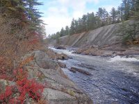 Knifes Edge Rapids Moose 10-17-2015_00015.JPG