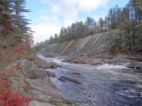 Knifes Edge Rapids Moose 10-17-2015_00017.JPG
