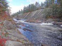 Knifes Edge Rapids Moose 10-17-2015_00018.JPG