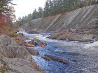 Knifes Edge Rapids Moose 10-17-2015_00019.JPG