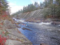 Knifes Edge Rapids Moose 10-17-2015_00021.JPG