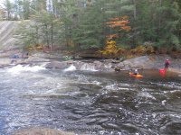 Knifes Edge Rapids Moose 10-17-2015_00022.JPG