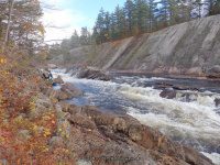 Knifes Edge Rapids Moose 10-17-2015_00024.JPG