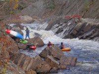 Knifes Edge Rapids Moose 10-17-2015_00027.JPG