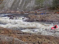 Knifes Edge Rapids Moose 10-17-2015_00028.JPG