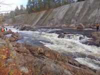 Knifes Edge Rapids Moose 10-17-2015_00029.JPG