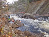 Knifes Edge Rapids Moose 10-17-2015_00030.JPG
