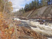 Knifes Edge Rapids Moose 10-17-2015_00032.JPG