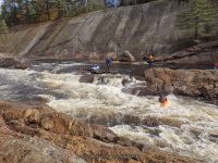 Knifes Edge Rapids Moose 10-17-2015_00034.JPG