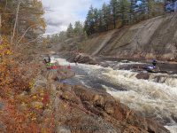 Knifes Edge Rapids Moose 10-17-2015_00035.JPG