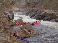 Knifes Edge Rapids Moose 10-17-2015_00036.JPG