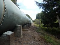 Taylorville Trail (2) 9-7-2015_00002.JPG