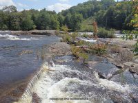Taylorville Between Take Out and Powerline 9-7-2015_00026.JPG