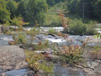 Taylorville Between Take Out and Powerline 9-7-2015_00028.JPG