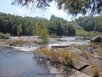 Taylorville Between Take Out and Powerline 9-7-2015_00035.JPG