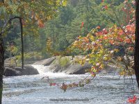 Taylorville Dogleg Rapids and Mindscrambler 9-7-2015_00015.JPG