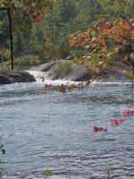 Taylorville Dogleg Rapids and Mindscrambler 9-7-2015_00016.JPG