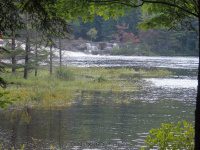 Taylorville Picnic Area 9-7-2015_00011.JPG
