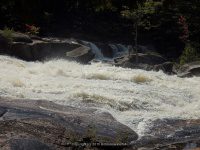 Taylorville Great White Slide 9-7-2015_00018.JPG