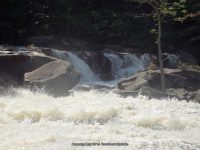 Taylorville Great White Slide 9-7-2015_00020.JPG
