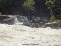 Taylorville Great White Slide 9-7-2015_00025.JPG