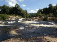 Taylorville Powerline Rapids Beaver 9-7-2015_00001.JPG
