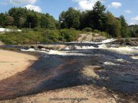 Taylorville Powerline Rapids Beaver 9-7-2015_00002.JPG