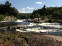 Taylorville Powerline Rapids Beaver 9-7-2015_00006.JPG