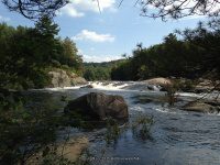 Taylorville Powerline Rapids Beaver 9-7-2015_00007.JPG