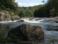Taylorville Powerline Rapids Beaver 9-7-2015_00008.JPG