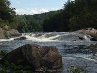 Taylorville Powerline Rapids Beaver 9-7-2015_00011.JPG