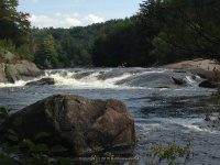 Taylorville Powerline Rapids Beaver 9-7-2015_00013.JPG