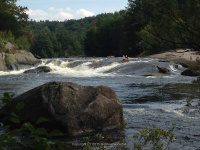 Taylorville Powerline Rapids Beaver 9-7-2015_00017.JPG