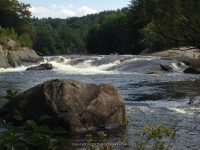 Taylorville Powerline Rapids Beaver 9-7-2015_00019.JPG