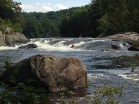 Taylorville Powerline Rapids Beaver 9-7-2015_00020.JPG