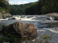 Taylorville Powerline Rapids Beaver 9-7-2015_00021.JPG