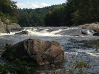 Taylorville Powerline Rapids Beaver 9-7-2015_00022.JPG