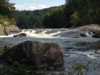 Taylorville Powerline Rapids Beaver 9-7-2015_00026.JPG